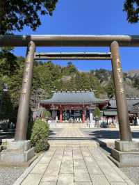 【大山阿夫利神社/神奈川県】春は華やかな枝垂れ桜のもとで参拝