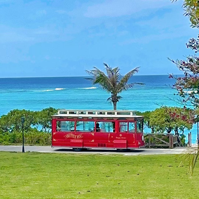 旗津的靈南海灘：天堂般的沙灘與清澈海水 🏖️🌊