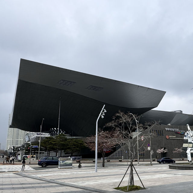 韓国の映画の殿堂BIFF