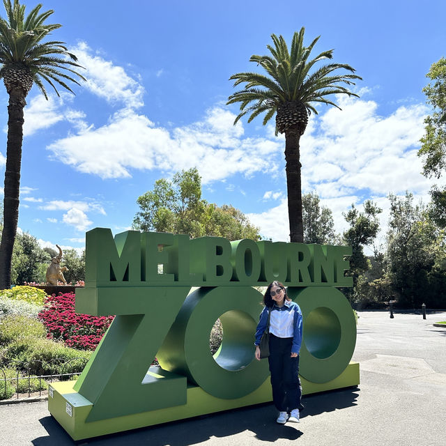 Fun time at Melbourne Zoo