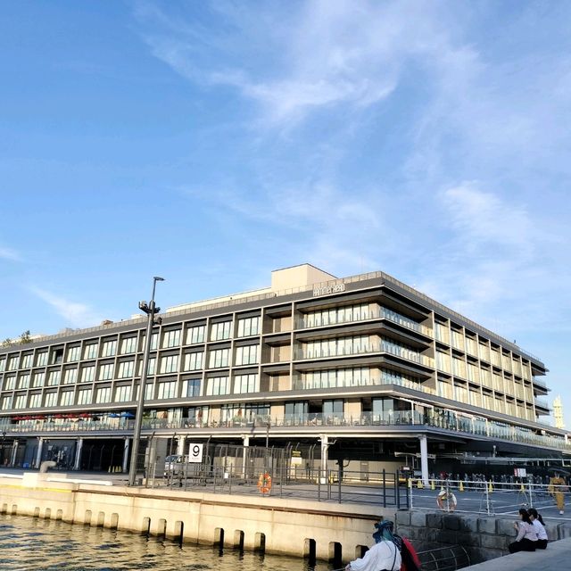 春の横浜旅行🌸今、横浜で行くべきおすすめスポット