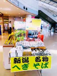 【新潟県】新潟への空の玄関口「新潟空港」