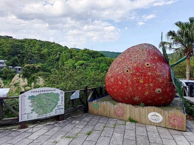 台北內湖景點-免門票-白石湖吊橋