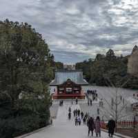 「鎌倉景點：鶴岡八幡宮，感受傳統與寧謐」