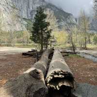 Yosemite National Park, California - AMAZING