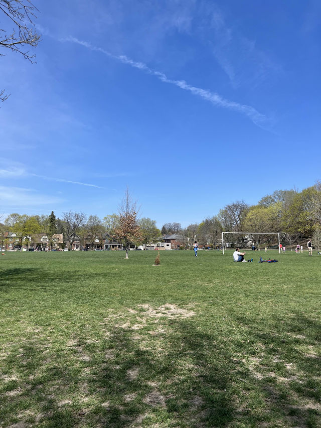토론토의 봄이 되면 꼭 해야하는 피크닉 ‘Eglinton Park’🇨🇦