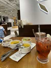 《減壓喵喵Cafe》