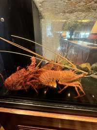 【福岡レストラン】上質な空間で極上のコスパランチ