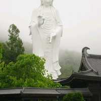 วัด Tsz shan monastery 