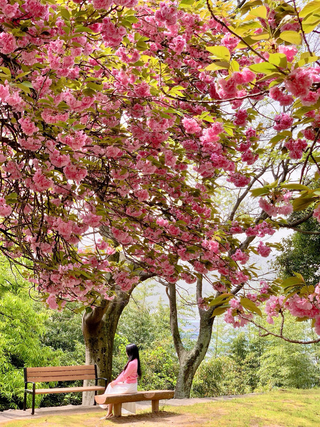 💗🌸창원 겹벚꽃 명소 창원에서 젤 이쁜 곳🌸💗