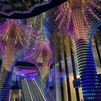 Vibrant Luxury at W Brisbane Hotel