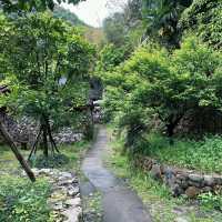 【台灣春天好去處】玉山國家公園：杜鵑花海，追尋春日之美的最佳目的地