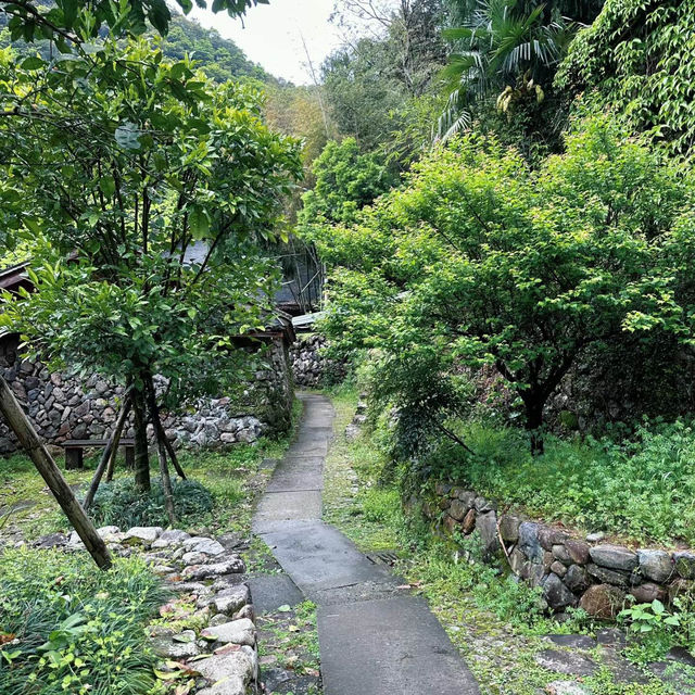 【台灣春天好去處】玉山國家公園：杜鵑花海，追尋春日之美的最佳目的地