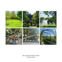 Miro Park：花園中的自然之美