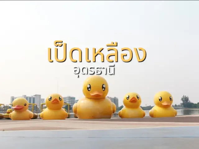 มาหาน้องเป็ดเหลือง ที่อุดรธานี