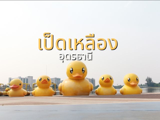 มาหาน้องเป็ดเหลือง ที่อุดรธานี