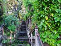 【アメリカ・サンフランシスコ】都会に佇む緑の小径🌳
