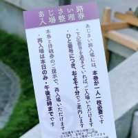 【鎌倉】長谷寺のあじさい！人気の紫陽花路を散策