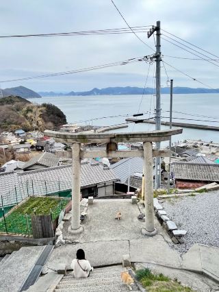 隱世貓島｜日本高松男木島半日散策