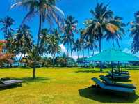 🏖️ Relax at Thaala Bentota