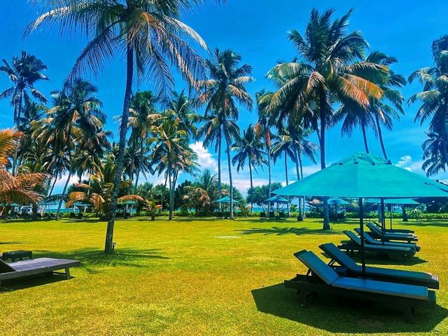 🏖️ Relax at Thaala Bentota
