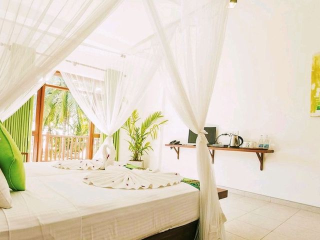 🏖️ Relaxing Beach Stay in Sri Lanka