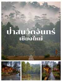 แชร์พิกัดที่เที่ยวที่พักเชียงใหม่หน้าฝน