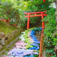 楊谷寺