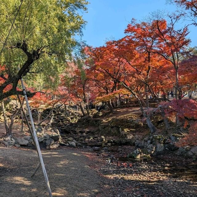 秋の奈良