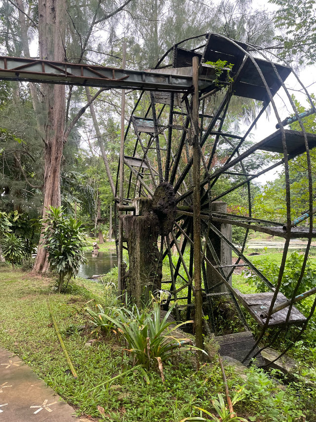 ไร่กุสุมา สระบุรี