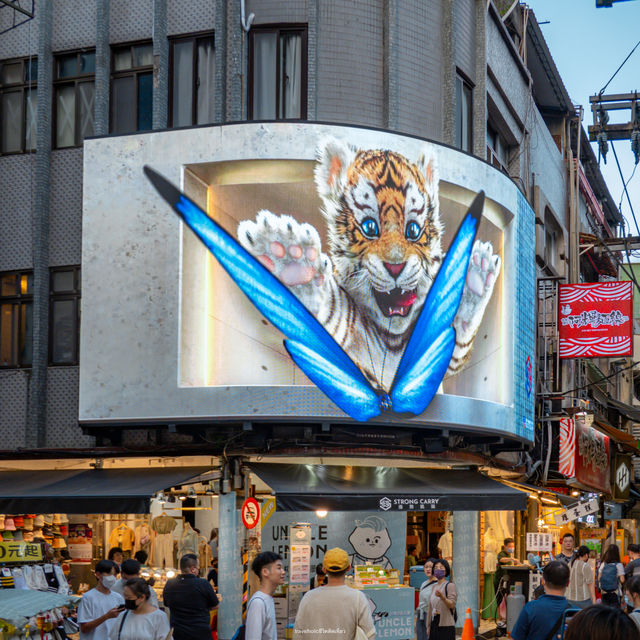 Shilin Night Market  