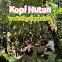 Kopi Hutan คาเฟ่ในป่าที่สูงที่สุดในปีนัง