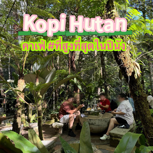 Kopi Hutan คาเฟ่ในป่าที่สูงที่สุดในปีนัง