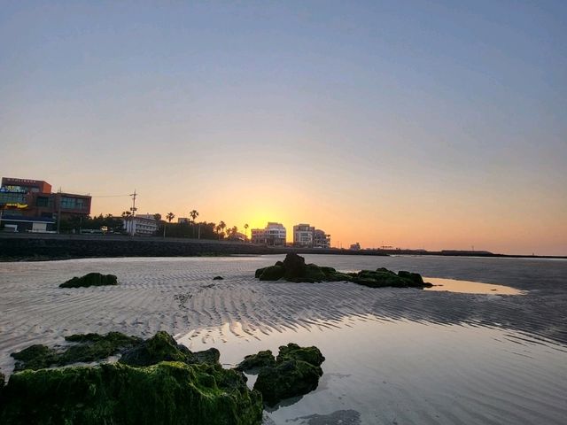 【濟州】犀牛峰海灘：春夏油菜花盛開，特色黑色火山岩灘。適合日落時分