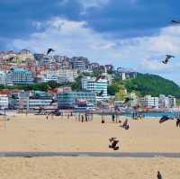Haeundae: Discovering Busan's Vibrant Coastal Gem