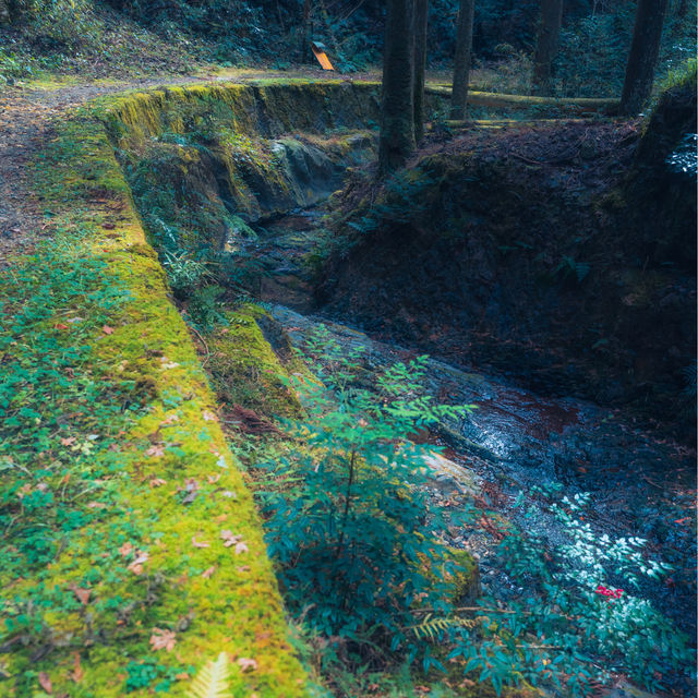 神秘的な滝壺と鳥居（岩門の滝・岐阜県関市）