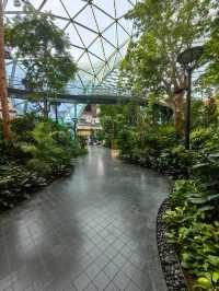 Oasis at Doha Airport 🌺