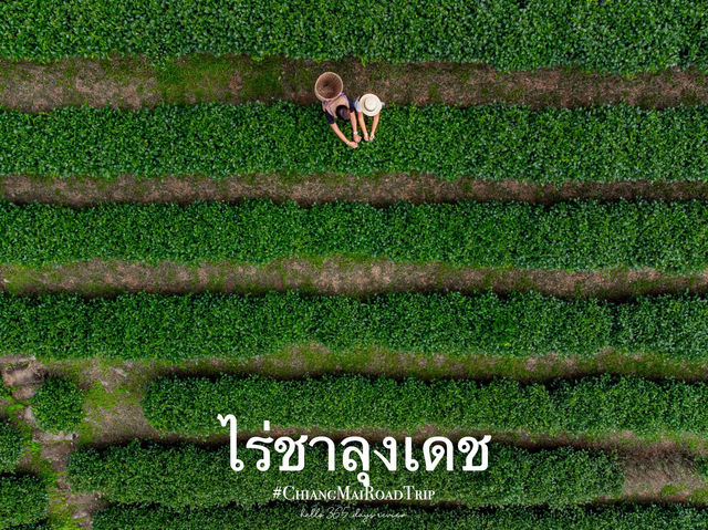 📍12 พิกัด พัก เที่ยว กิน อิน เชียงใหม่ ❤️
