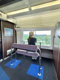 【特急いなほ】快適すぎると噂の新潟-秋田間を走る特急いなほ　グリーン車