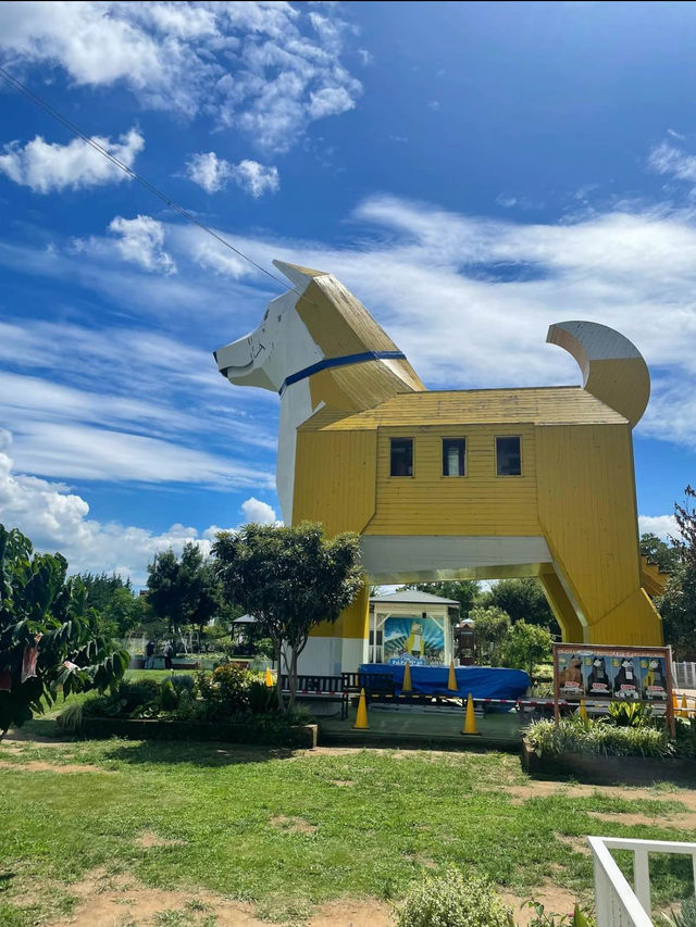 【茨城県】わんこがいっぱい🐶🐾一日中もふもふと戯れられる楽園😍💖【つくばわんわんランド】