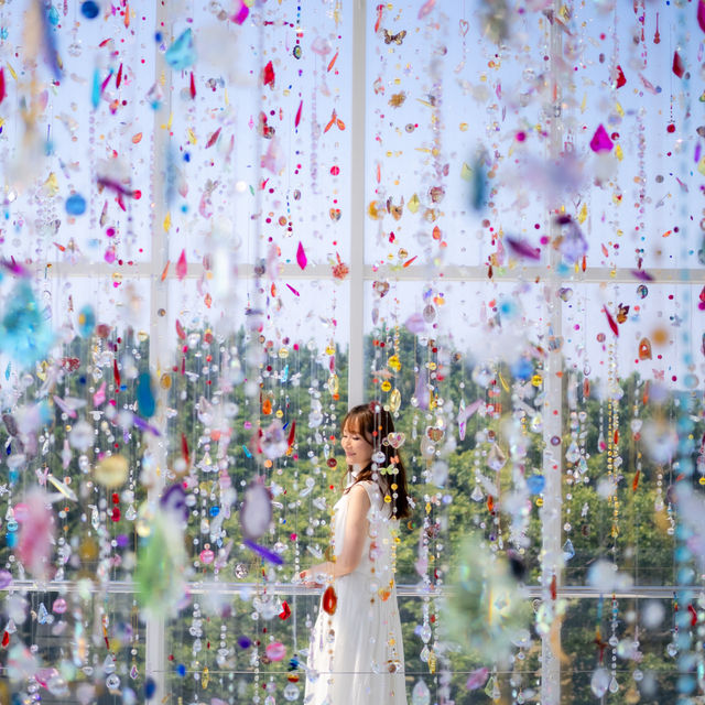 蜷川実花の作品が美しい！✨