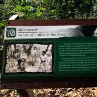 แจกพิกัดเดินป่า ตามรอยเส้นทางสายกาแฟ