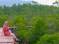 ดำน้ำดูปะการัง เที่ยวน้ำตก ชมป่าชายเลนที่เกาะช้าง