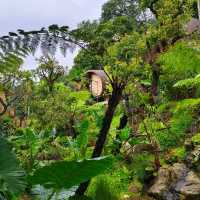 story ที่สวยงาม