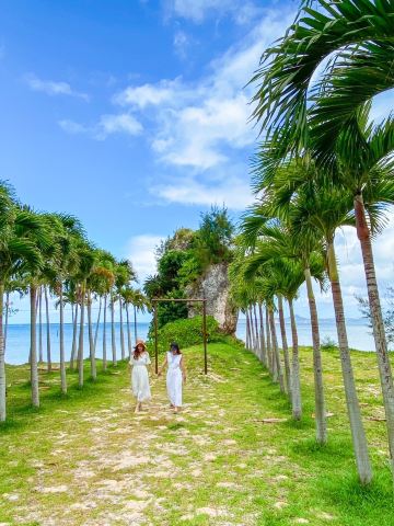 沖縄】ヤシの木が南国感満載の「恋人の聖地」 | Trip.com 本部町