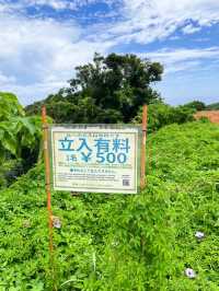 【沖縄】ガイドブックに載っていない絶景スポット