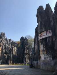 Exploring the Stone Forest in Kunming, Yunnan 🇨🇳