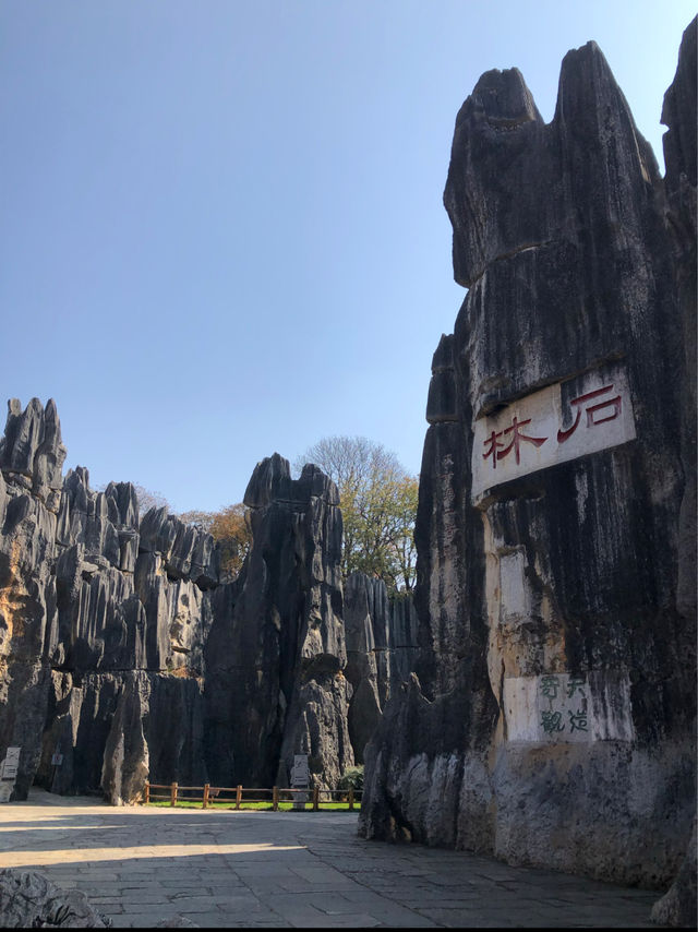 Exploring the Stone Forest in Kunming, Yunnan 🇨🇳