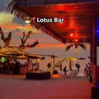 🏝️📍Lotus Bar 