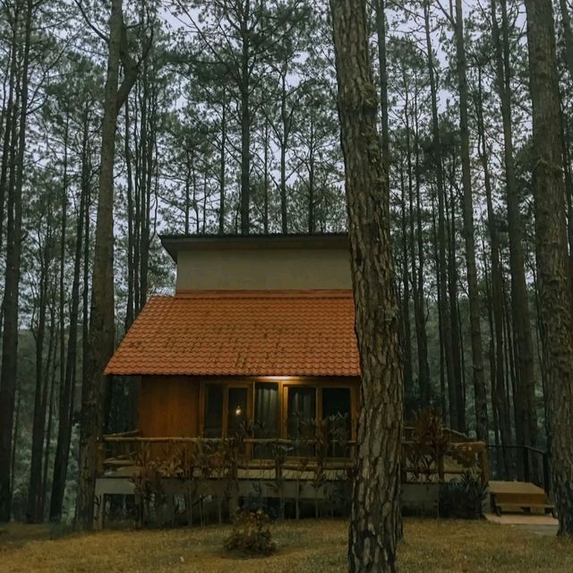 สวนสนฟิลเกาหลี
